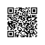 B32562J6104K289 QRCode