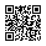 B57411V2331K62 QRCode