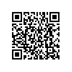 BKT-161-04-L-V-S-P QRCode