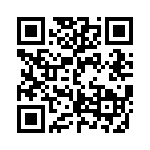 DJT16E11-98HB QRCode