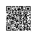 DW-06-13-T-S-685 QRCode