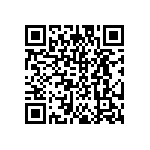 DW-16-17-T-S-300 QRCode