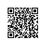 DW-45-13-F-S-935 QRCode