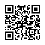 P4KE13-E3-73 QRCode