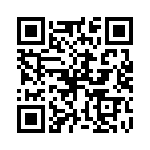 P4KE47HE3-54 QRCode