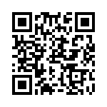 RN55E3091DRSL QRCode