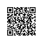 RNC55J2941BSRE6 QRCode