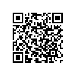 RNR55J1002BSRSL QRCode