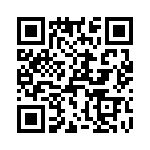 T38013-17-0 QRCode