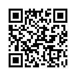 T38040-02-0 QRCode