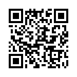 T38040-13-0 QRCode