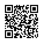 T38155-20-0 QRCode