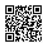 T38313-22-0 QRCode