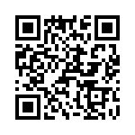 T38365-01-0 QRCode