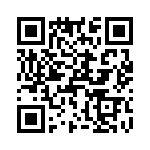 T38531-25-0 QRCode