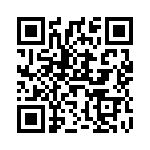 V10H17P QRCode