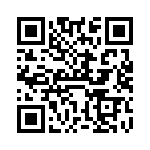 VI-B6P-IX-B1 QRCode