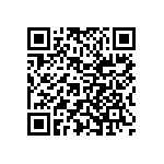 Y11691K38000T9R QRCode