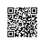 Y16295K60000T9R QRCode