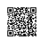 Y17456K04000T9L QRCode