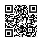 06031C132JAT2A QRCode