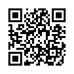 09151000307 QRCode