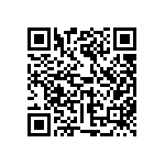 101-93-318-41-560000 QRCode