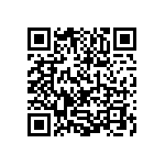 1111Y300P500DQT QRCode