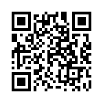 12065C333KAT2A QRCode