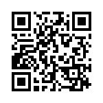 132136 QRCode