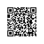 300DP1R3BLKM1QE QRCode