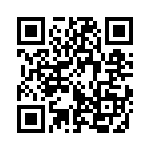 353TB5C400T QRCode