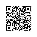 36DE533G015AC2A QRCode