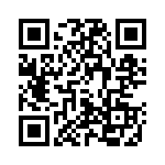 400294 QRCode