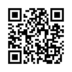 4163 QRCode