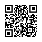 513361-10 QRCode