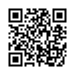 653P16002I2T QRCode