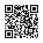 767161334G QRCode