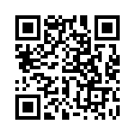 770101393P QRCode