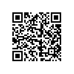 88-PGM13028-10H QRCode