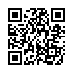 95C06B6T QRCode