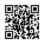 95CW06E3GWRT QRCode