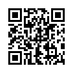 9C14300166 QRCode