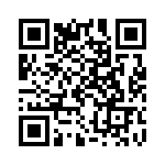 A20130407CAMP QRCode