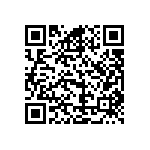 B72242L0381K100 QRCode