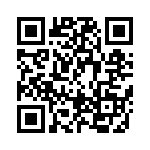 BFC246729393 QRCode