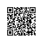 BKT-163-04-LM-V QRCode