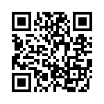 BZW04-33BHA0G QRCode