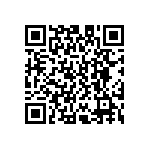 D55342E07B46E4RWS QRCode