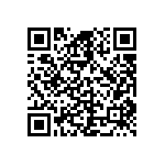 D55342E07B8B66CWS QRCode